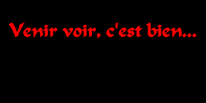 ViEnS